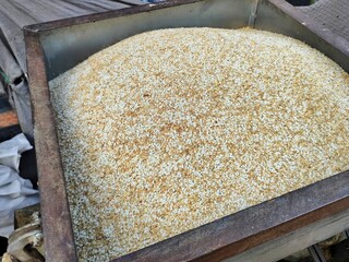 a view of rice grains ready to for milling in the machine