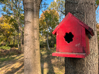 Red Birdhouse Hanging in a Tree closeup