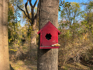 Red Birdhouse Hanging in a Tree closeup, front view