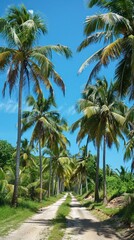 Lush Tropical Pathway Surrounded by Swaying Palm Trees and Vibrant Foliage in a Scenic Serene Paradise  Captivating landscape with a winding trail leading through a verdant idyllic jungle setting