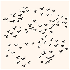 Birds flying With illustration style doodle and line art