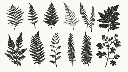 Naklejka premium Stunning Black and White Fern Silhouettes Showcasing Nature's Elegance