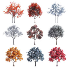Fototapeta premium set of tree isolated on transparent background, png elements collection.