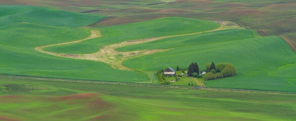 A view in the spring from Steptoe butte in the Palouse region of eastern Washington of rolling...