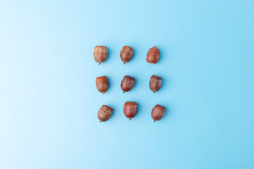 acorns without caps, blanks for crafts on blue background, top view, part of creative process, activity for kids, tutorial, image of lesson,