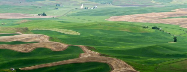 Obraz premium A view in the spring from Steptoe butte in the Palouse region of eastern Washington of rolling hills, farms, wheat storage facilities, and wheat land
