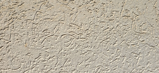 texture bark beetle white color for background