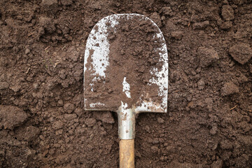 Digging up soil in garden. Shovel close-up on brown ground outdoors on garden bed. Organic farming,...