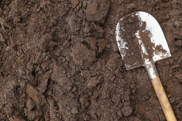 Brown soil ground texture background and shovel on garden bed in farm garden. Organic farming,...