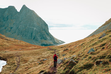 Girl traveler in a red jacket and with sticks goes down to the kvalvika beach. Lofoten islands,...