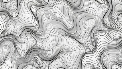 Abstract Black and White Topographic Contour Pattern