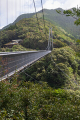 渓谷にかかる大吊橋