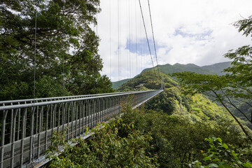 Obraz premium 渓谷にかかる大吊橋