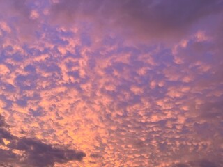 茜空と鱗雲