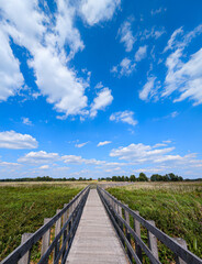 path to the sky