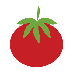 Tomato icon. Vegetable Icon on white background. vector illustration.