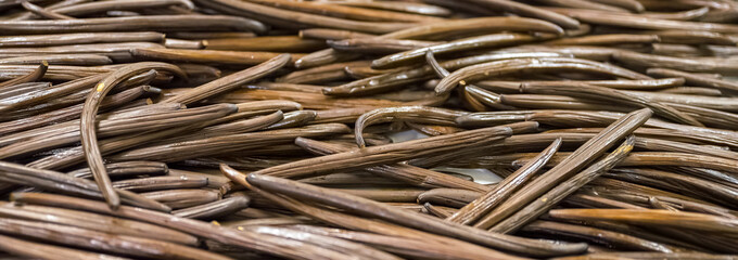 Vanilla in La Reunion in the Indian Ocean, black pods drying 