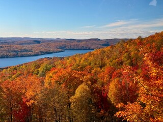 Fototapeta premium Fall Colors