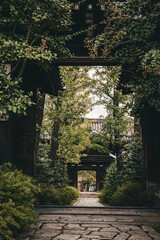 Entrance to an old Japanese temple surrounded by greenery.