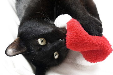 A huge black cat lies on a white sheet. Christmas. Celebrate Christmas. A cat in a Santa hat.