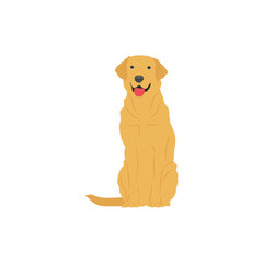 Vector illustration of labrador retriever dog in cartoon flat style. Dog behavior, body language and face expressions. Cute yellow labrador retriever.
Pet animal