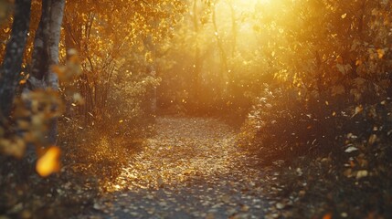 Serene autumn pathway illuminated by golden sunlight through trees and fallen leaves.