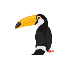 Vector illustration of toucan bird in cartoon flat style. Single colorful tropical bird wildlife animal. Pet Ramphastos toco isolated for digital resources, icon, logo, etc