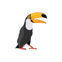Fototapeta premium Vector illustration of toucan bird in cartoon flat style. Single colorful tropical bird wildlife animal. Pet Ramphastos toco isolated for digital resources, icon, logo, etc