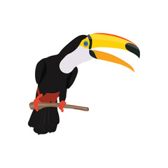 Vector illustration of toucan bird in cartoon flat style. Single colorful tropical bird wildlife animal. Pet Ramphastos toco isolated for digital resources, icon, logo, etc © Kidung Paripurna