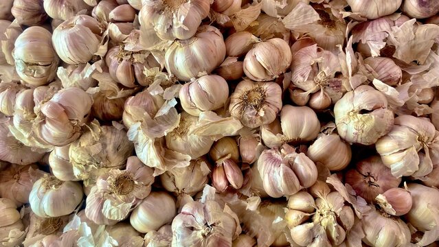 A close-up of garlic bulbs, showcasing their unique aroma and flavor.