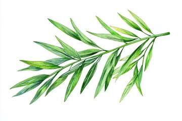 Fototapeta premium Fresh green leaf on a white isolated background, perfect for nature-themed projects and designs.