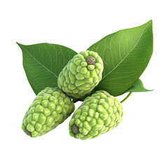 Fototapeta premium Fresh Green Exotic Fruits with Leaves on White Background
