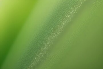 abstract background green