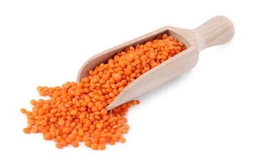 Raw lentils in scoop isolated on white