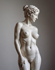 Fototapeta premium statue of a person