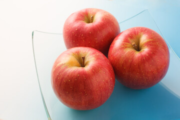 　林檎　信濃スイーツ