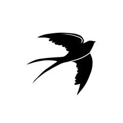 Obraz premium vector swallow with outstretched wings in flight