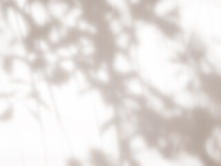 Beige backgrund autumn summer overlay abstract sun shadow leaf white gradient color blur room cement floor wall backdrop mockup product beauty cosmetic presentation minimal empty card tropical.