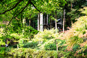岐阜県・関市のモネの池を訪ねて