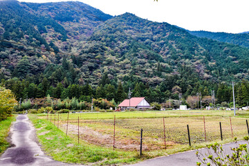 岐阜県・関市のモネの池を訪ねて