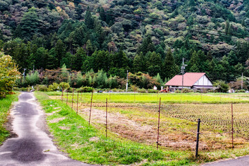 岐阜県・関市のモネの池を訪ねて