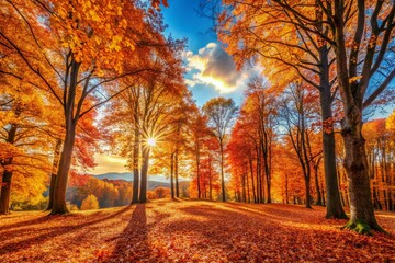 Fototapeta premium Stunning Panoramic Autumn Landscape with Vibrant Fall Tree Leaves, Rich Colors, and Golden Sunlight in a Serene Natural Setting for Seasonal Photography Enthusiasts
