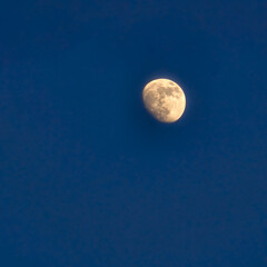 Lunar Glow
