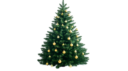 Christmas tree isolated on white background