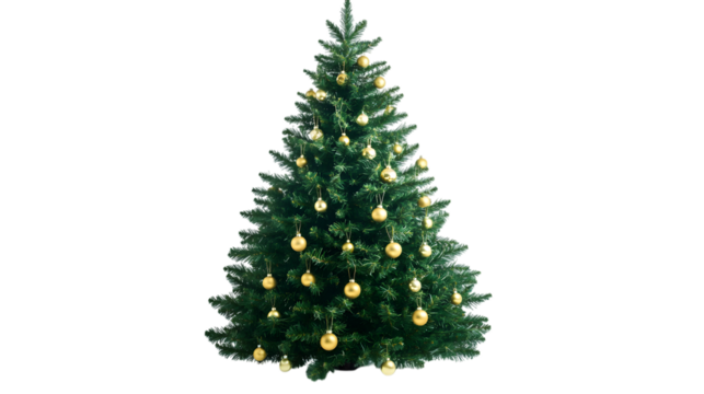 Christmas tree isolated on white background