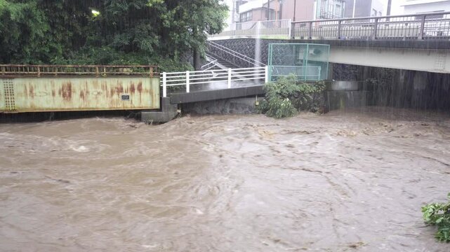 氾濫しそうな葛川の濁流