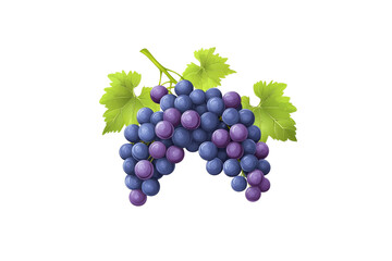 Fresh Purple Grapes with Green Leaves on Vine