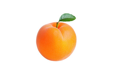 Fresh and Juicy Orange Apricot with Green Leaf