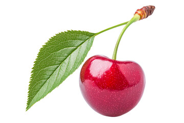 Fresh Red Cherry with Green Leaf Isolated on White Background