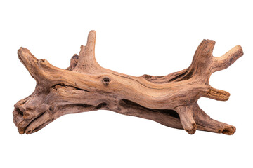 Natural Driftwood Piece for Decorative Use